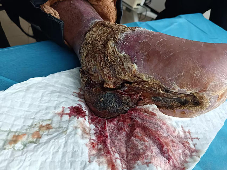 首页- 平博pinnacle888公司官网