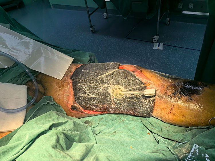 首页- 平博pinnacle888公司官网