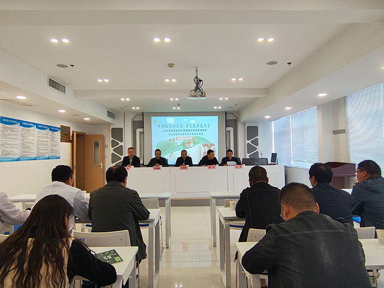 首页- 平博pinnacle888公司官网