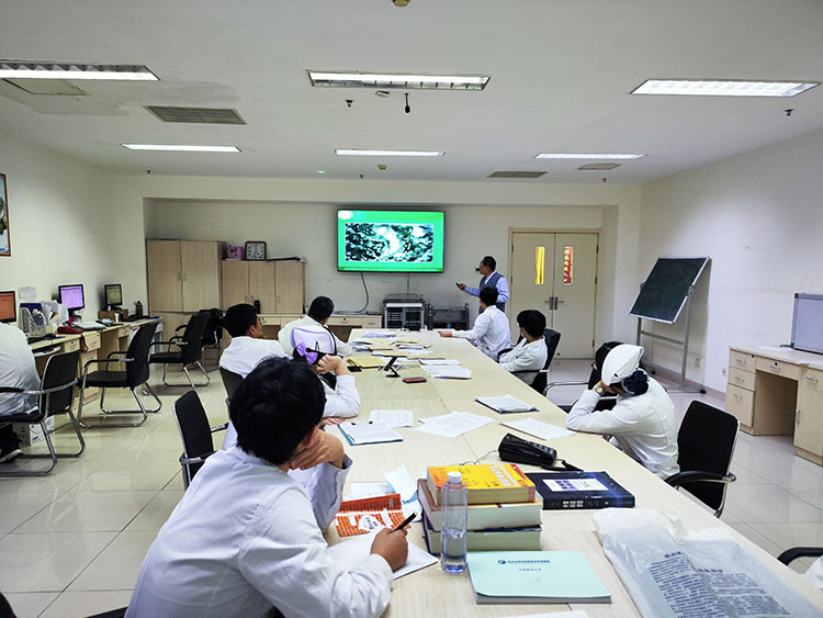 首页- 平博pinnacle888公司官网