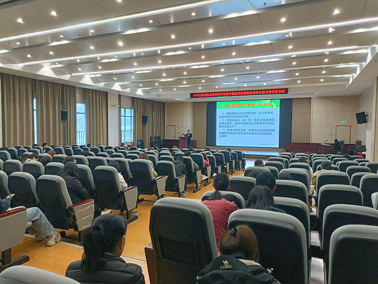 首页- 平博pinnacle888公司官网