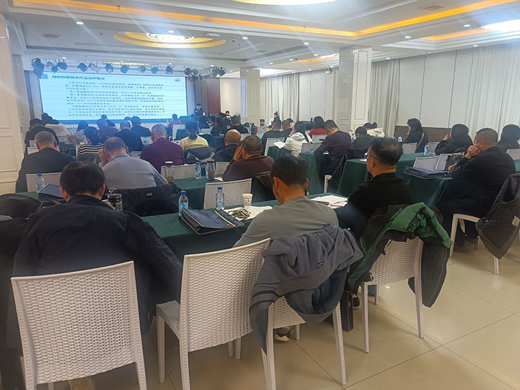 首页- 平博pinnacle888公司官网