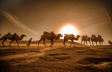 平博pinnacle国际 “一带一路”建议培训平台