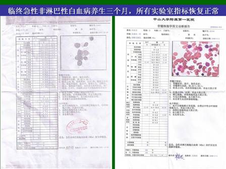 首页- 平博pinnacle888公司官网