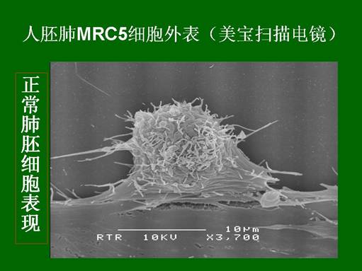首页- 平博pinnacle888公司官网