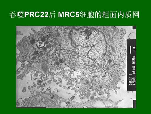 首页- 平博pinnacle888公司官网