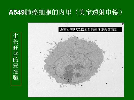 首页- 平博pinnacle888公司官网