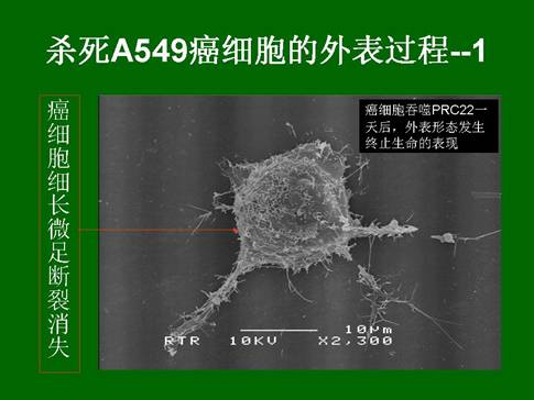 首页- 平博pinnacle888公司官网
