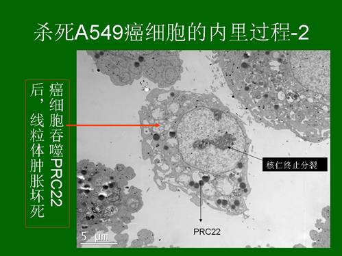 首页- 平博pinnacle888公司官网