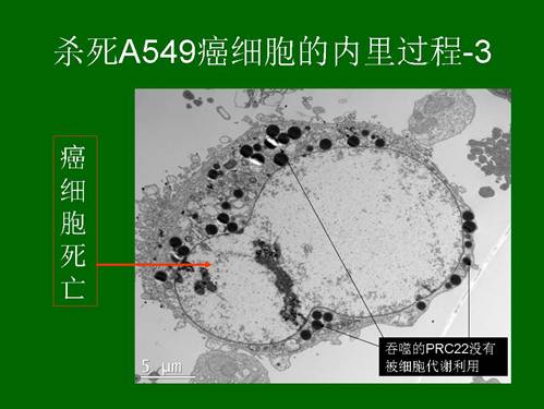 首页- 平博pinnacle888公司官网