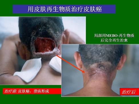 首页- 平博pinnacle888公司官网