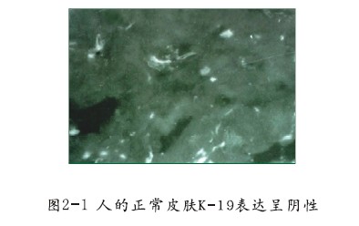 首页- 平博pinnacle888公司官网