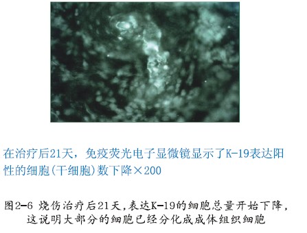 首页- 平博pinnacle888公司官网