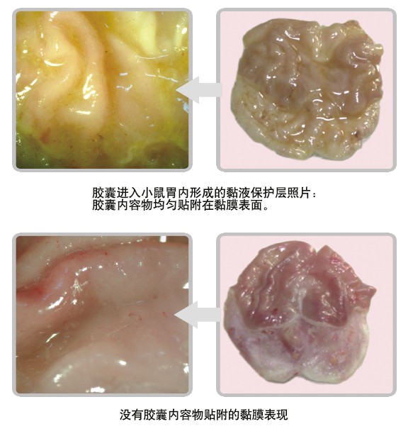 首页- 平博pinnacle888公司官网