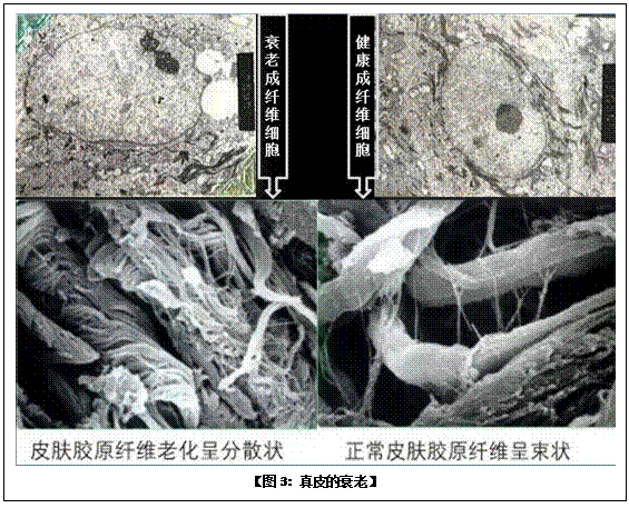 首页- 平博pinnacle888公司官网