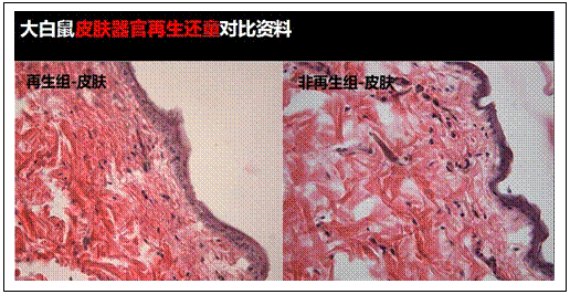 首页- 平博pinnacle888公司官网