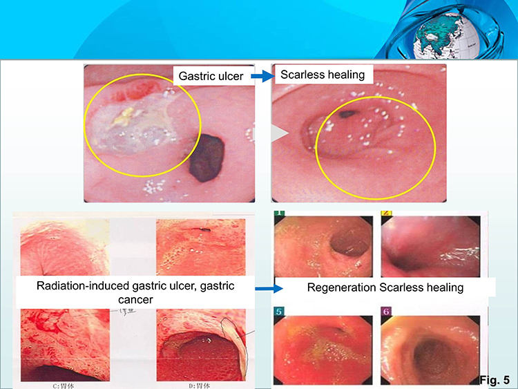 首页- 平博pinnacle888公司官网