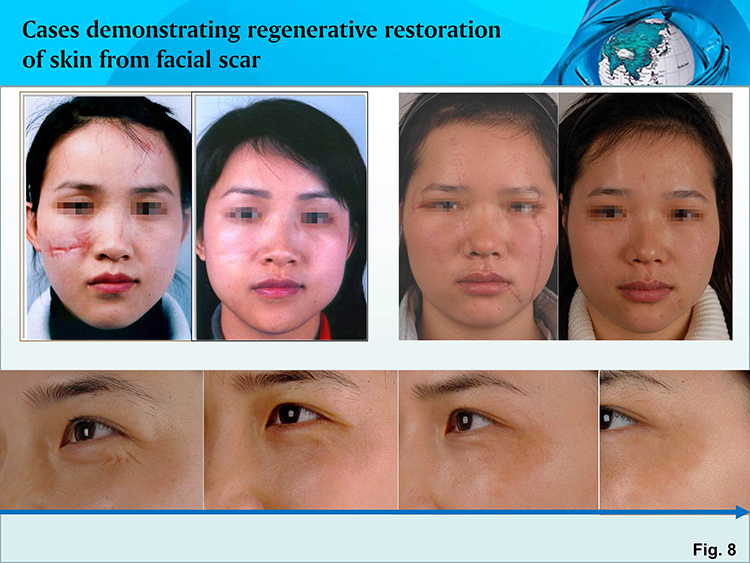 首页- 平博pinnacle888公司官网