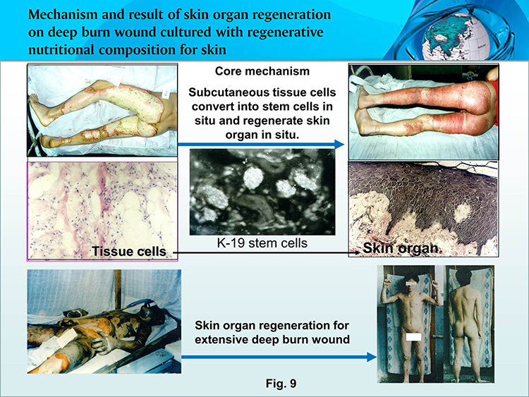 首页- 平博pinnacle888公司官网