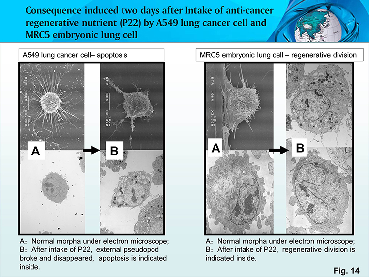 首页- 平博pinnacle888公司官网