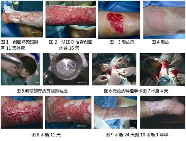 首页- 平博pinnacle888公司官网