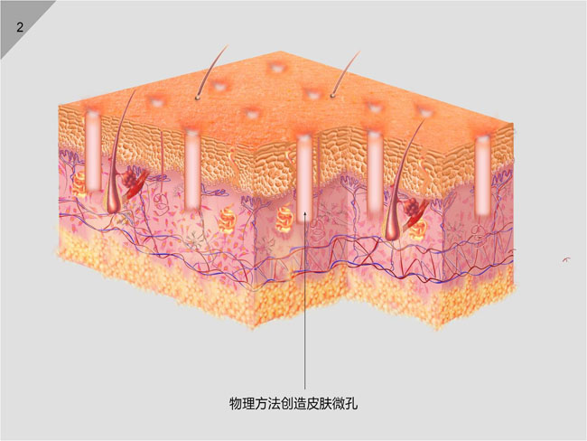 首页- 平博pinnacle888公司官网