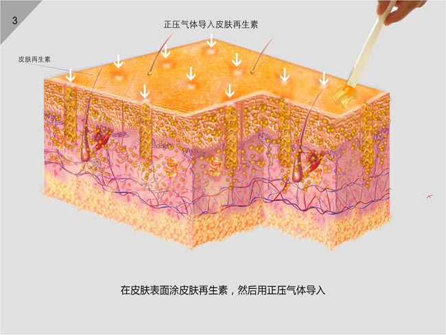 首页- 平博pinnacle888公司官网