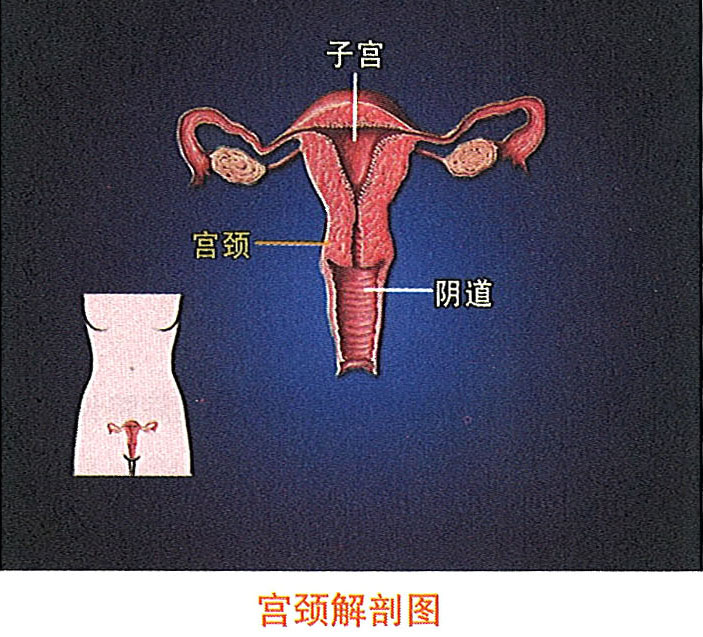 首页- 平博pinnacle888公司官网
