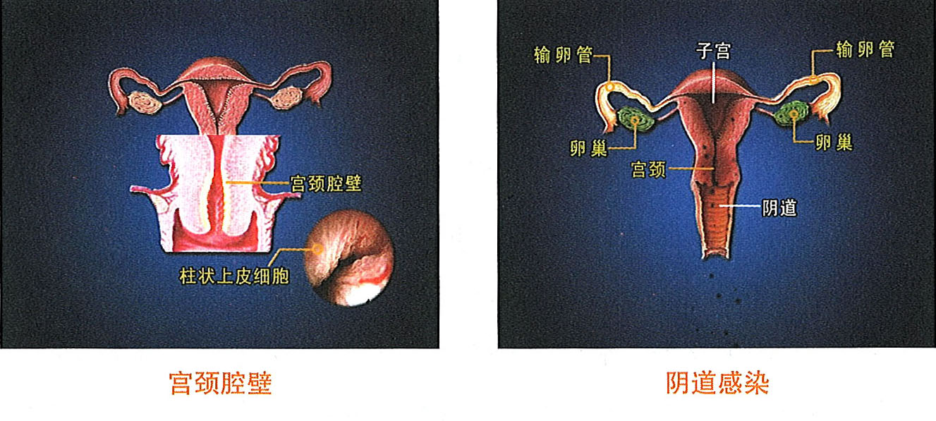 首页- 平博pinnacle888公司官网