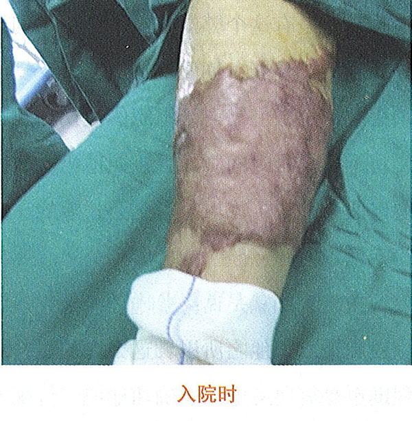 首页- 平博pinnacle888公司官网