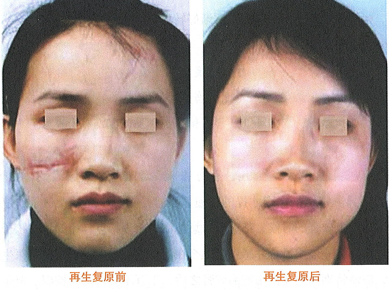 首页- 平博pinnacle888公司官网